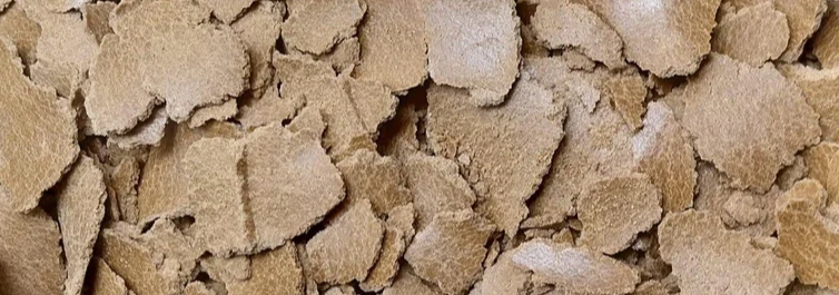 Sesame - Deoiled cake